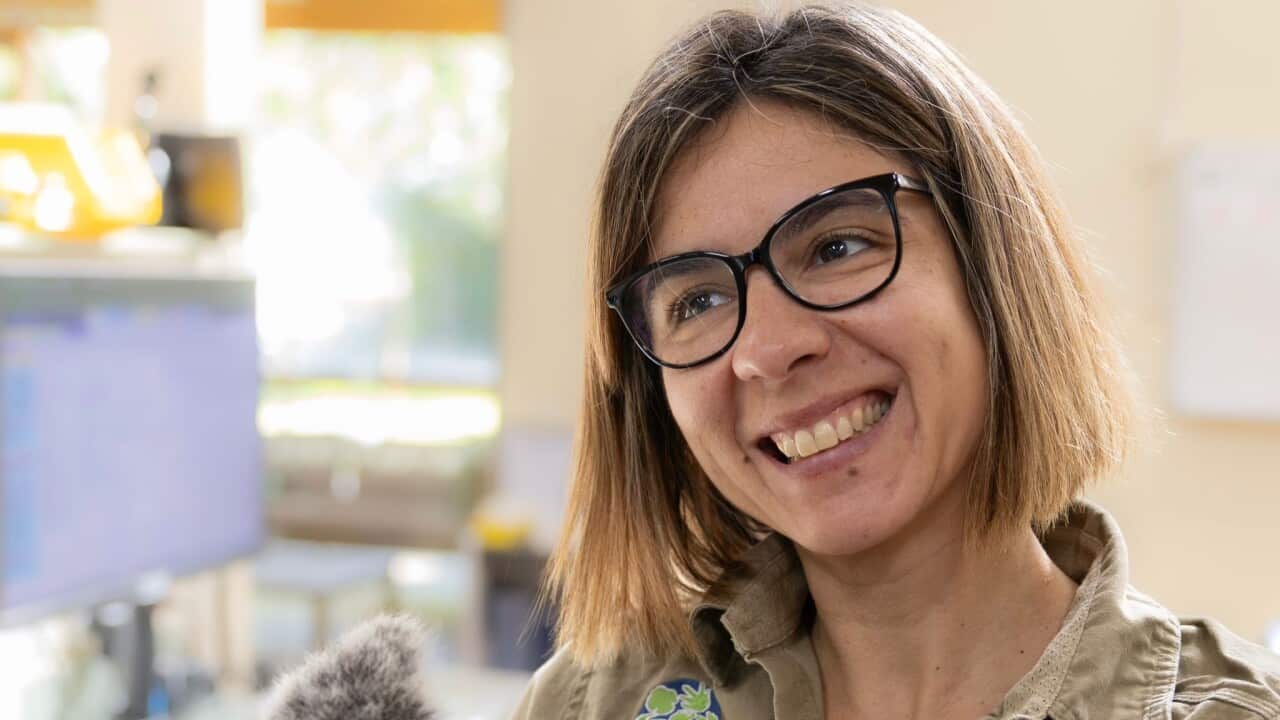 ILARIA MERIDIANI PODCAST