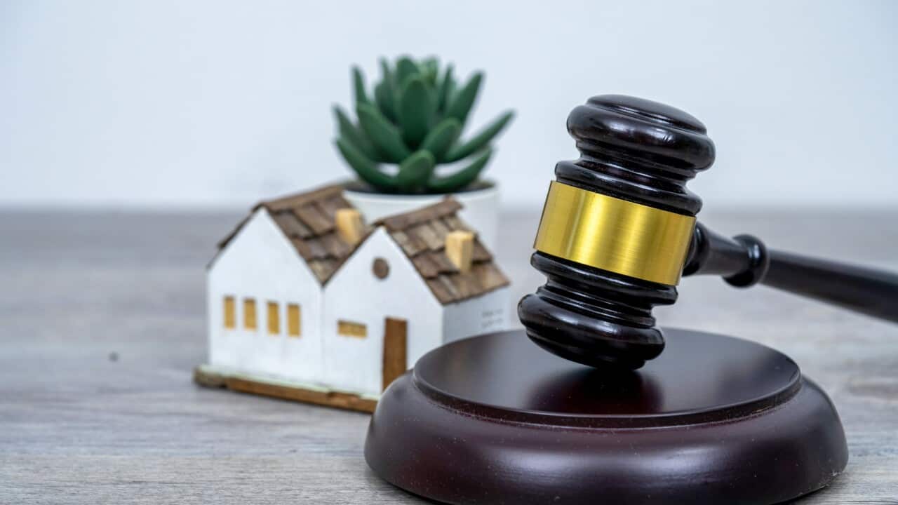 Image for read more article 'READ MORE'