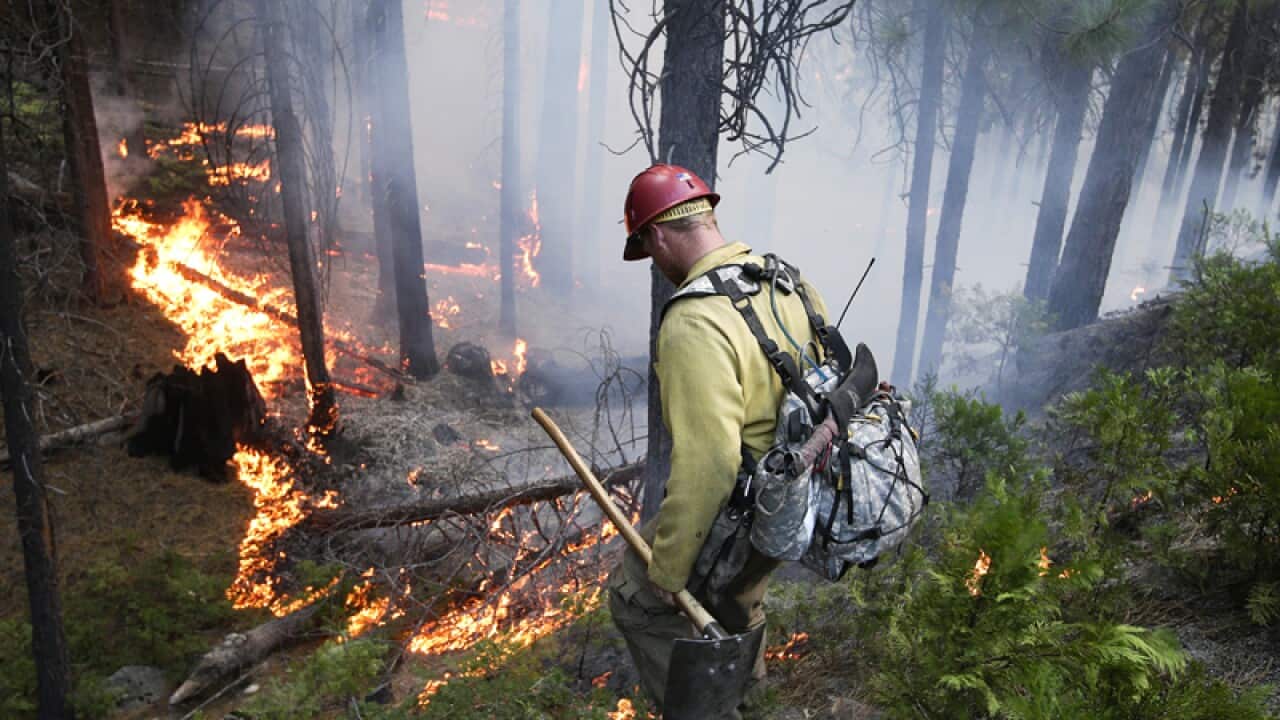 A firefighter at the Rim Fire near Yosemite National Park.