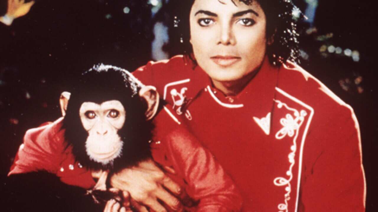 jackson_chimp_dog_2906_File_B_AP_1576246483