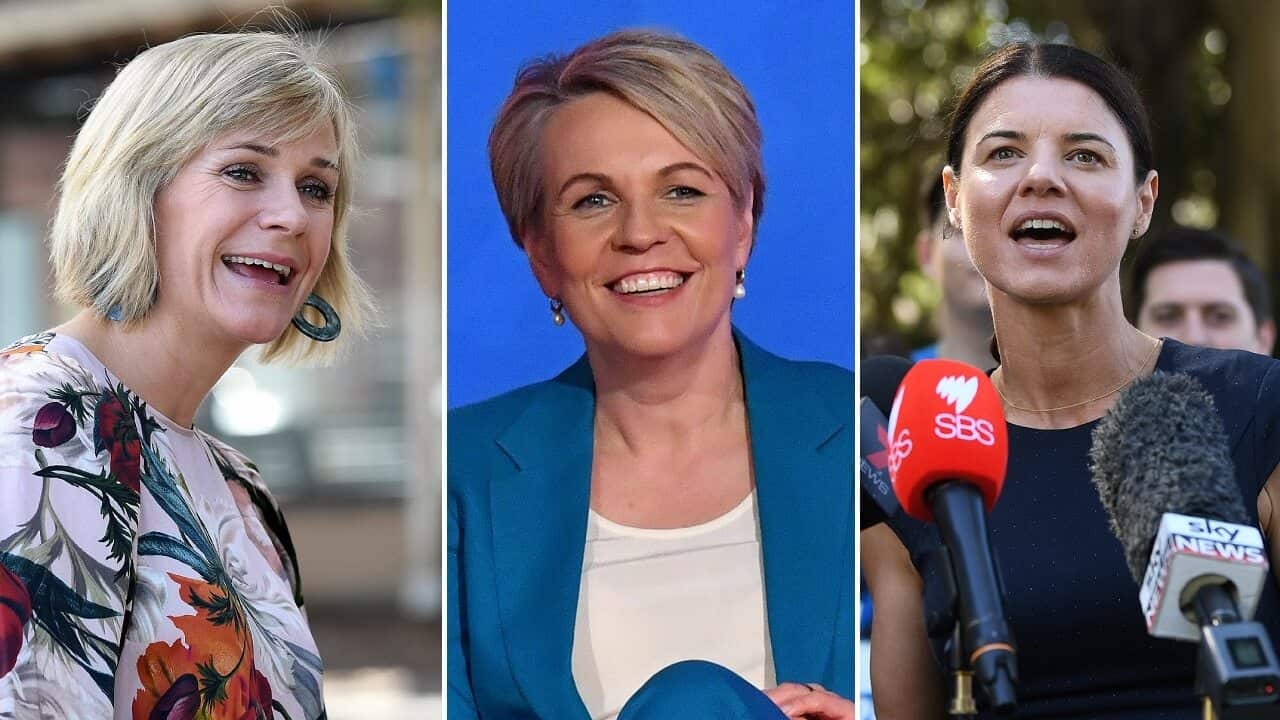 Women will make up roughly 35 per cent of the next parliament.