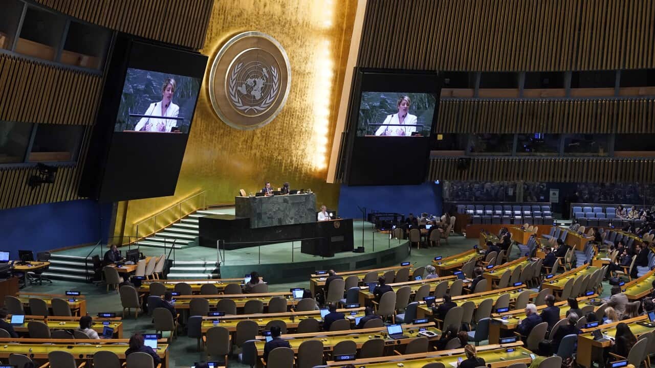 The 79th session of the United Nations General Assembly, 2024. (AP Photo/Richard Drew)