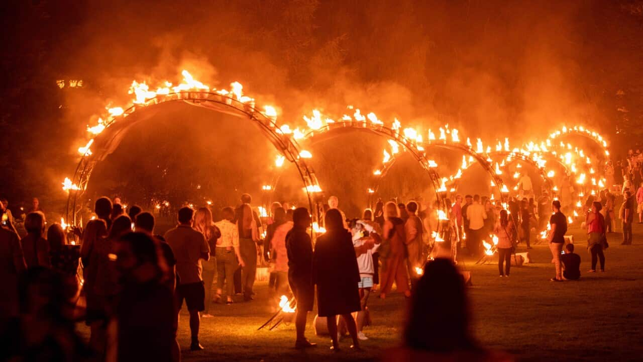 Fire Gardens_Photographer Andrew Beveridge (3) copy.jpeg