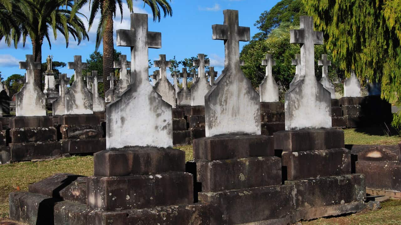 Image for read more article 'READ MORE'