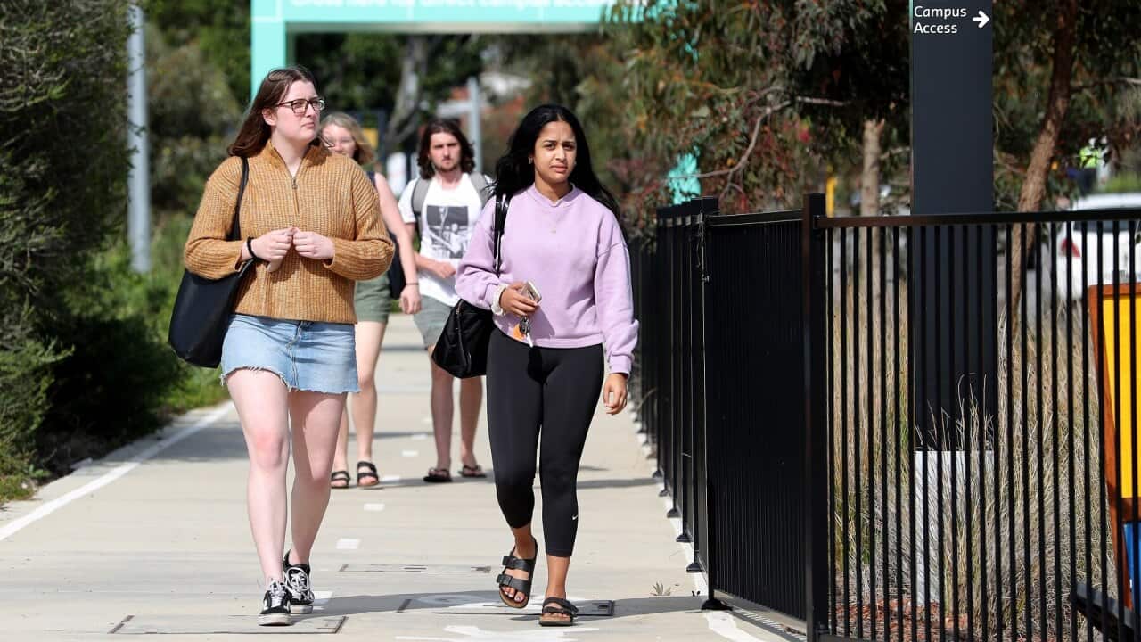 Image for read more article 'READ MORE'