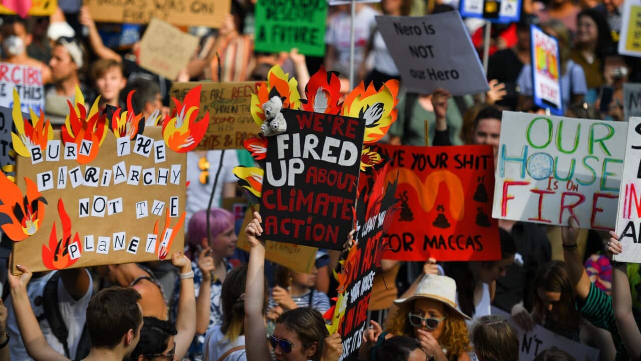Demonstranten bei der 'Sack ScoMo!' Demo