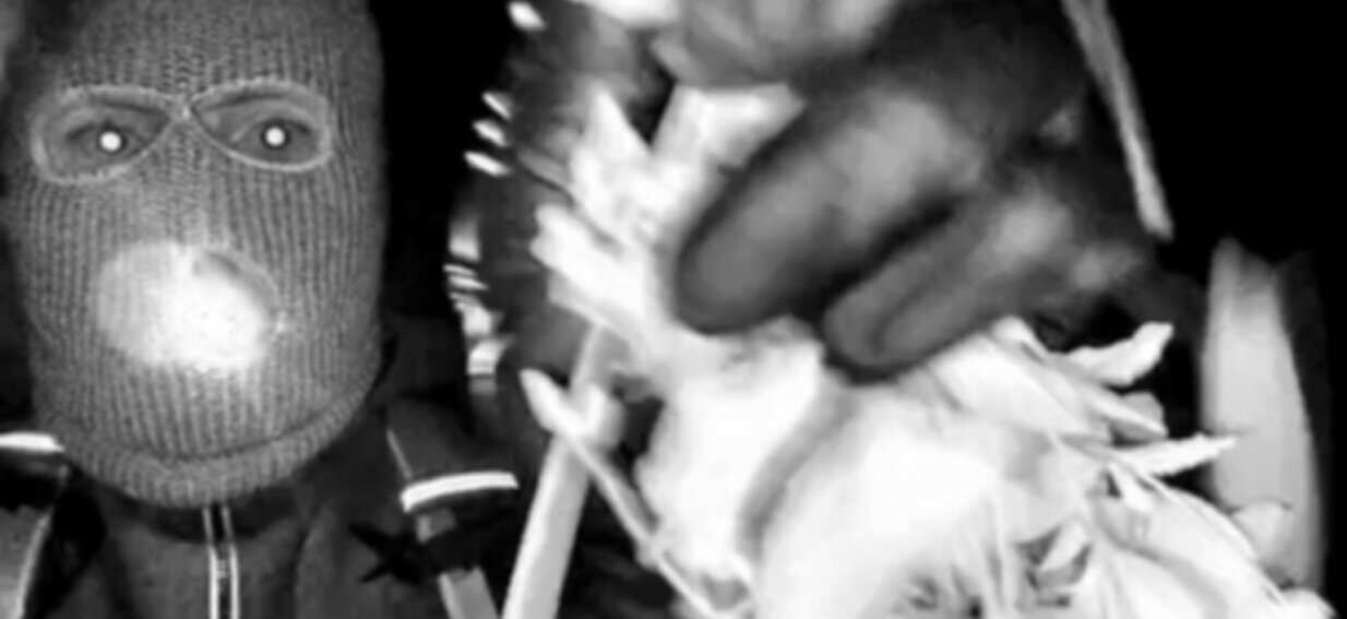 FBI releases images of masked intruder outside Nancy Guthrie's home on morning she disappeared