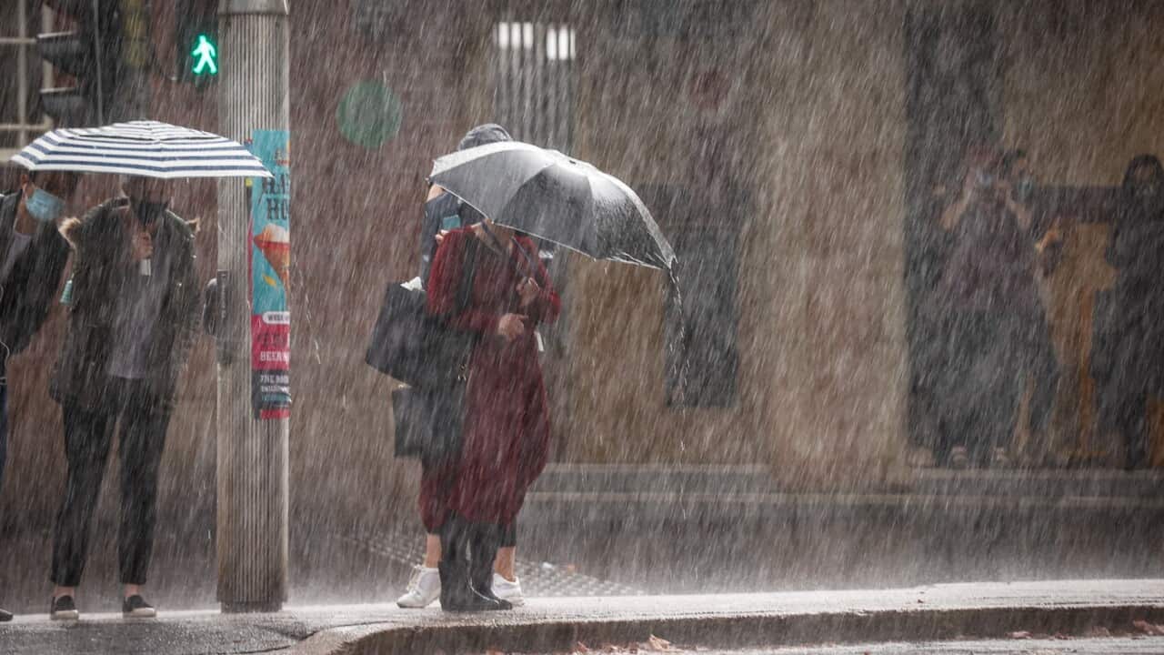 Flash flooding warnings were issued for multiple areas in NSW