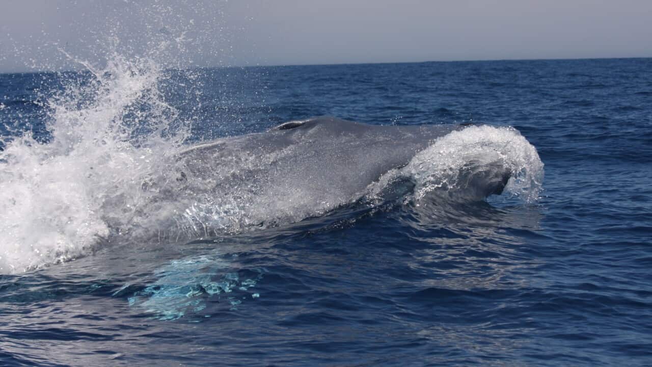 Image for read more article ''