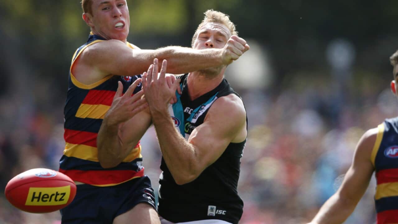 Tom Lynch of the Crows