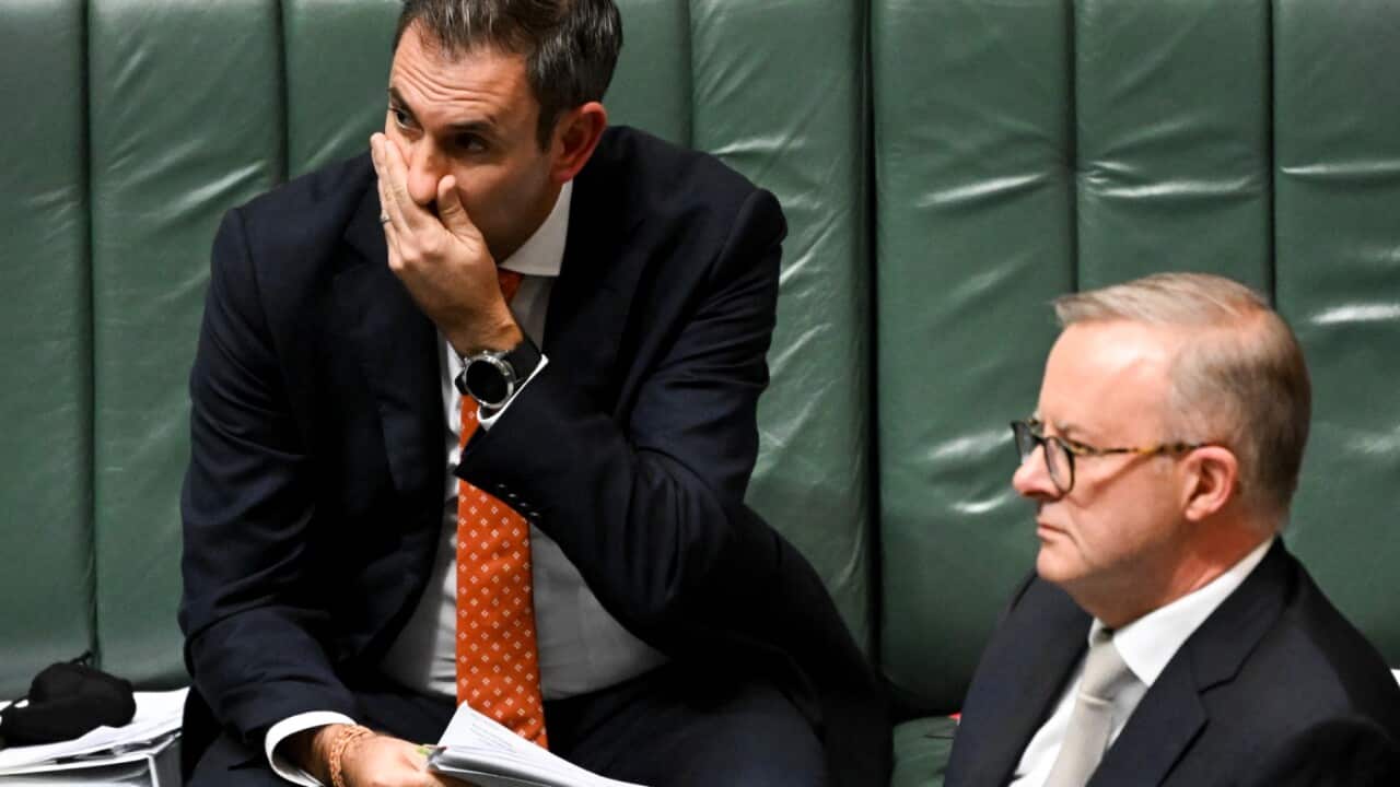 Jim Chalmers and Anthony Albanese