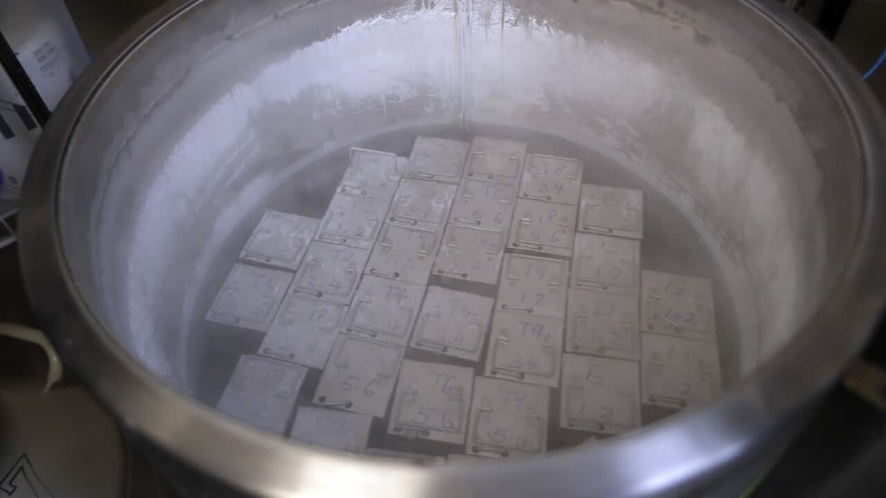 Alabama Frozen Embryos