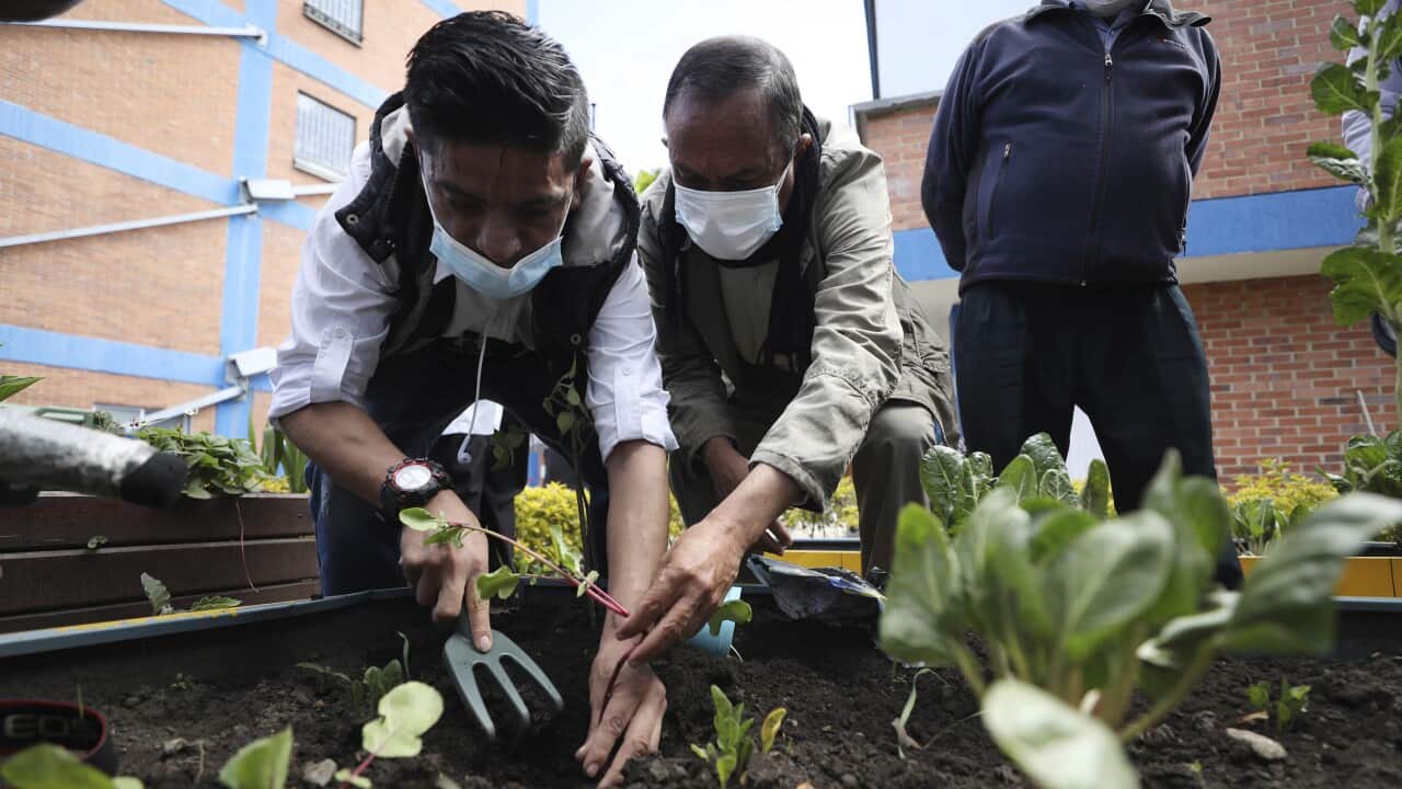 Image for read more article ''