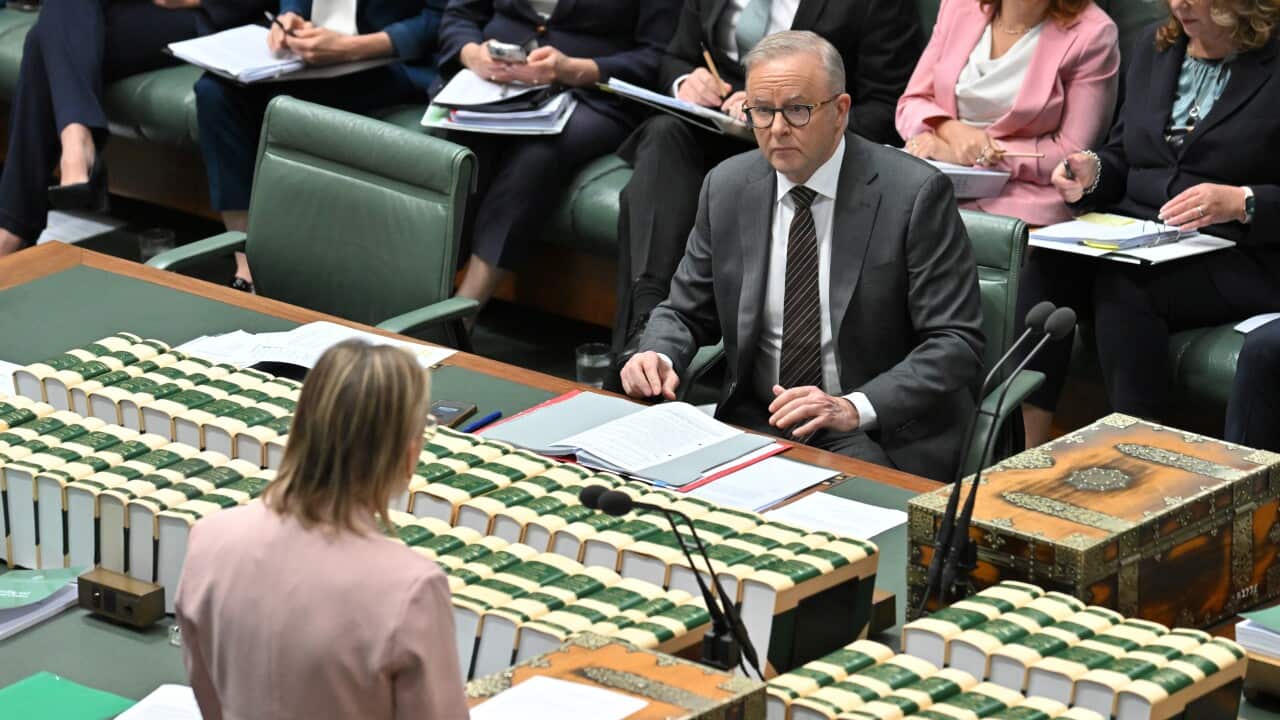 Opposition leader Sussan Ley, in a dusty pink suit, delivers remarks across the chamber to Prime Minister Anthony Albanese.