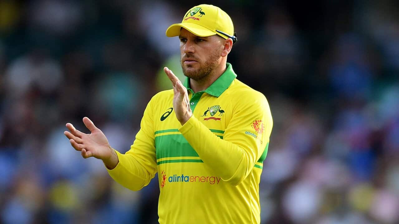 Image for read more article ''