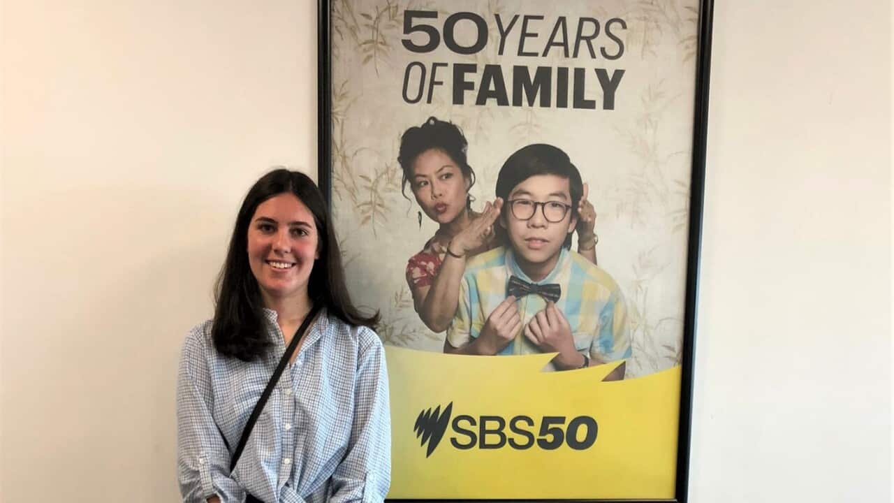 WhatsApp Image 2025-09-12 at 2.29.55 PM.jpeg