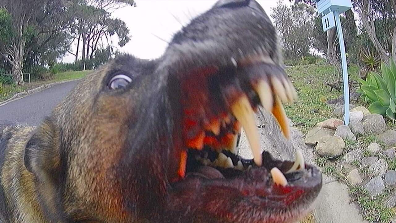 Image for read more article ''