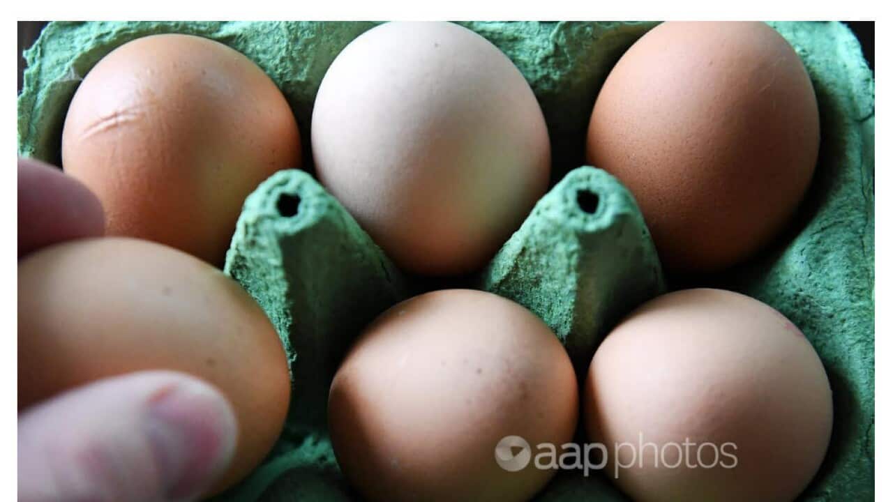 Egg limit - AAP.jpg