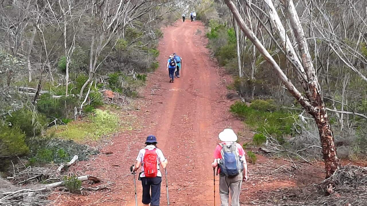 Australia's wilderness.jpg