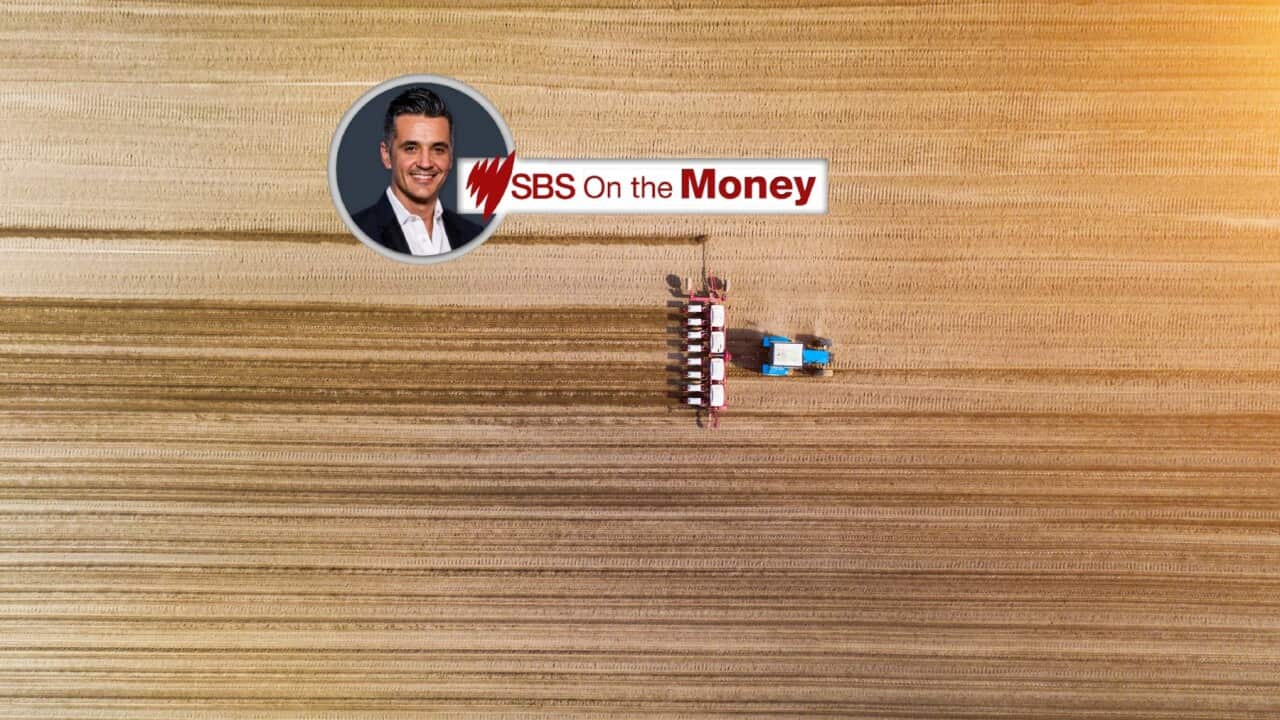 On the Money - Farming, agriculture, agribusiness (SBS-Getty).jpg
