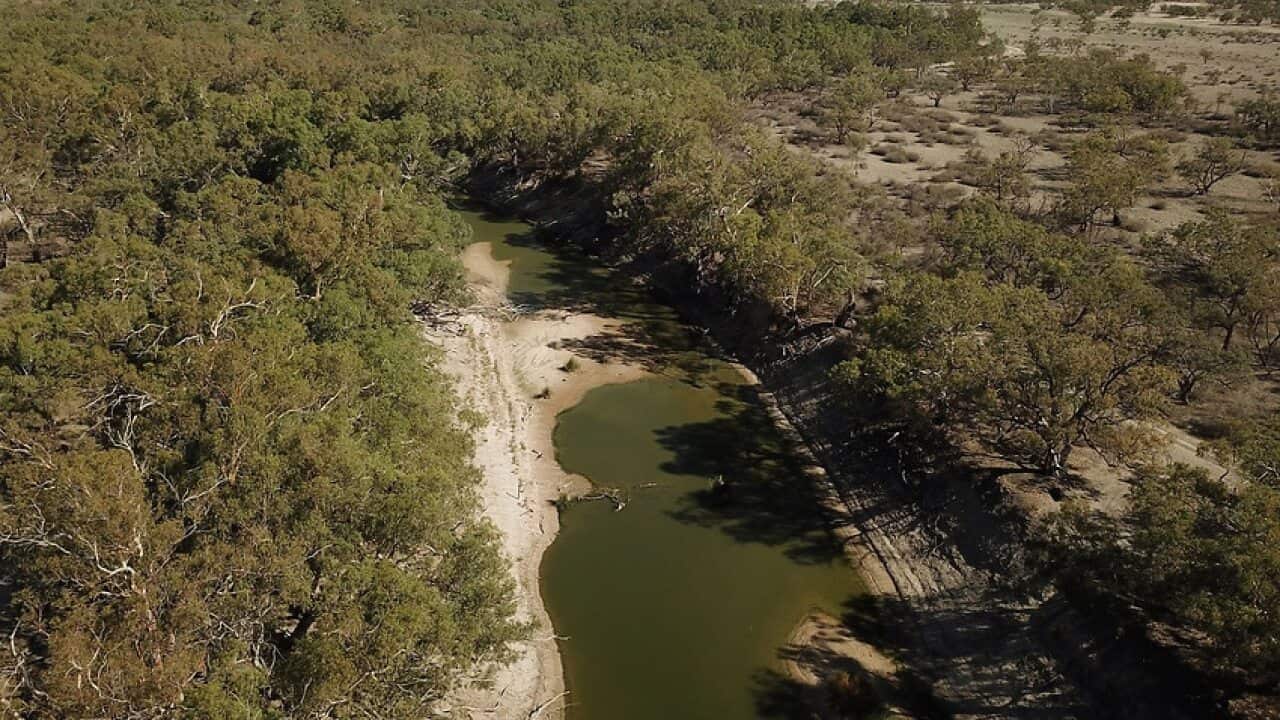 Diminishing water levels on the Darling River below weir 32 near Menindee. Source: AAP