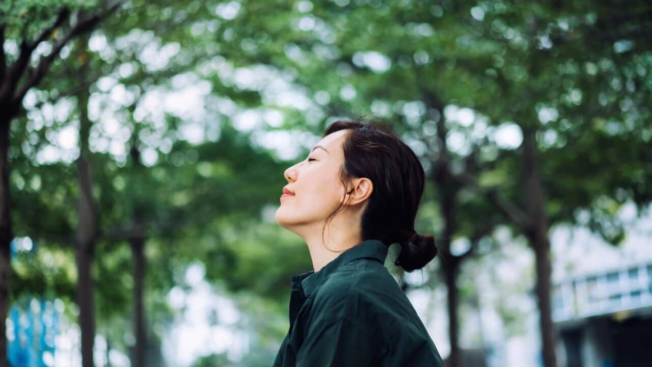 Image for read more article 'MORE'