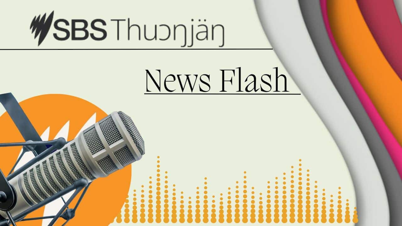 SBS Dinka News Flash