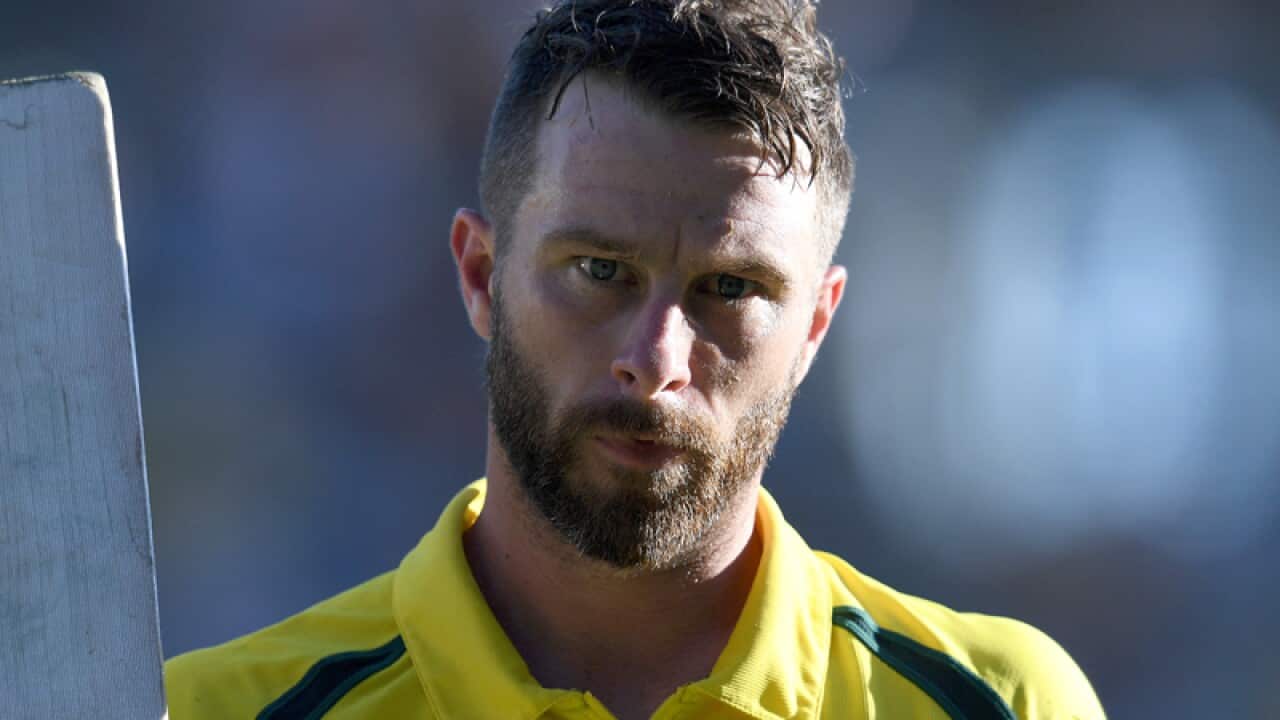Australian batsman Matthew Wade