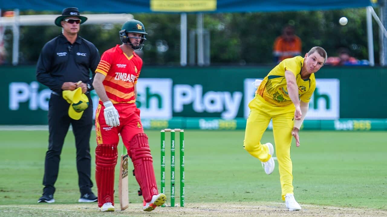 CRICKET AUSTRALIA ZIMBABWE