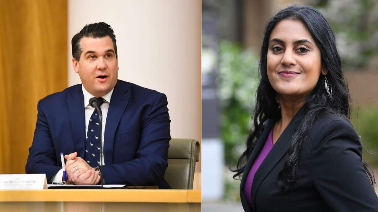 voice referendum article final (1).jpg