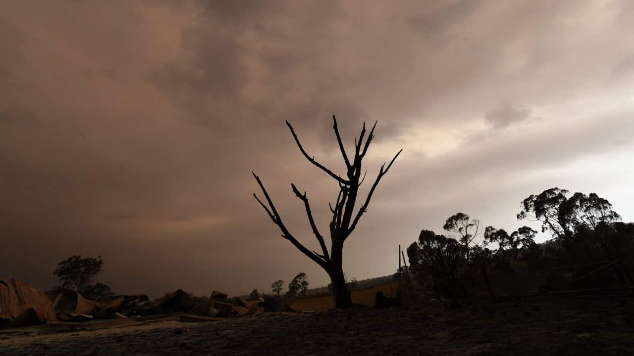 Remains of a burnt-out property that was impacted by a blaze in late December is seen at Bruthen South, Victoria.