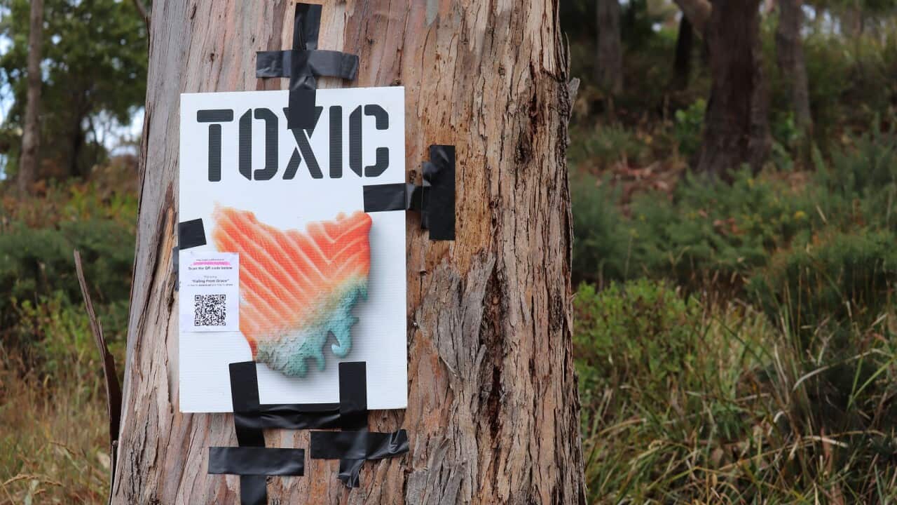 Image for read more article 'READ MORE'