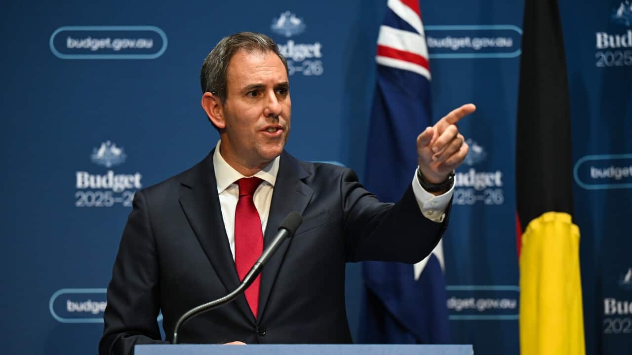 ALCBudget2025 FEDERAL BUDGET 2025
