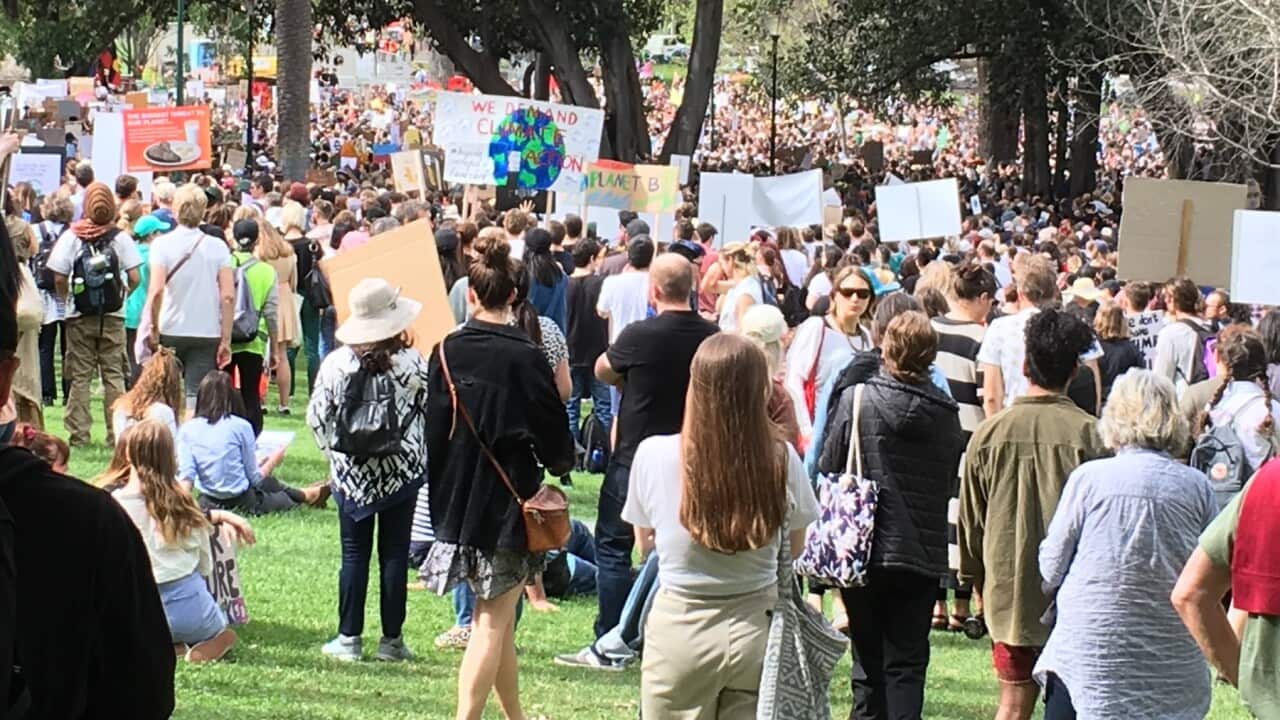 Part of the Climate Strike crowd at Melbourne's Treasury Gardens