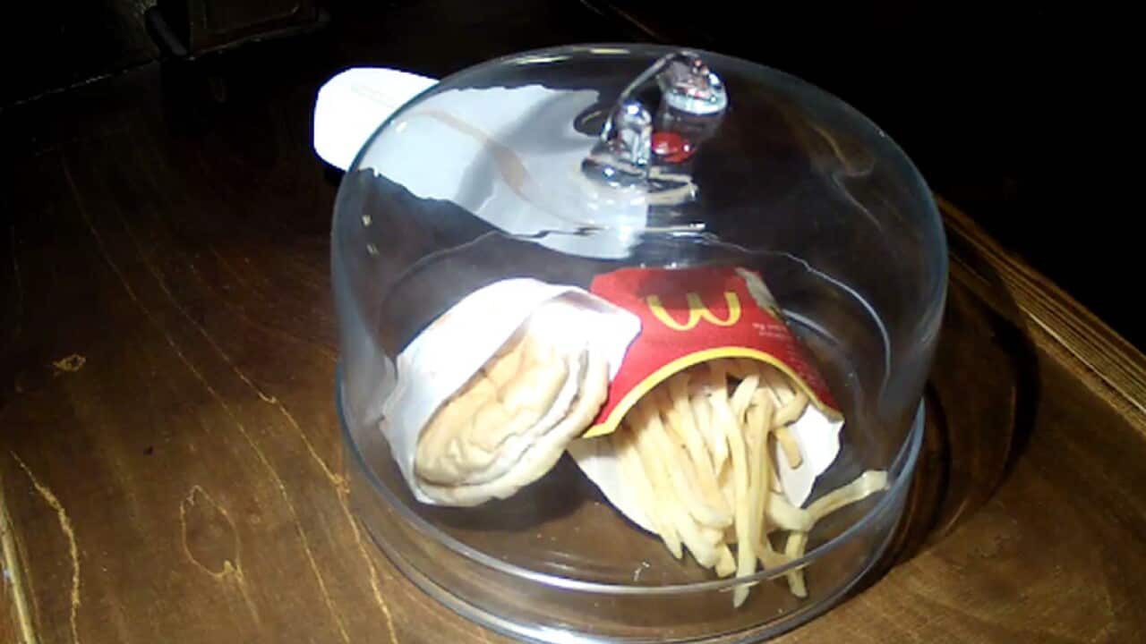 An exhibit called “The last McDonald’s hamburger in Iceland" now has a webcam devoted to it.