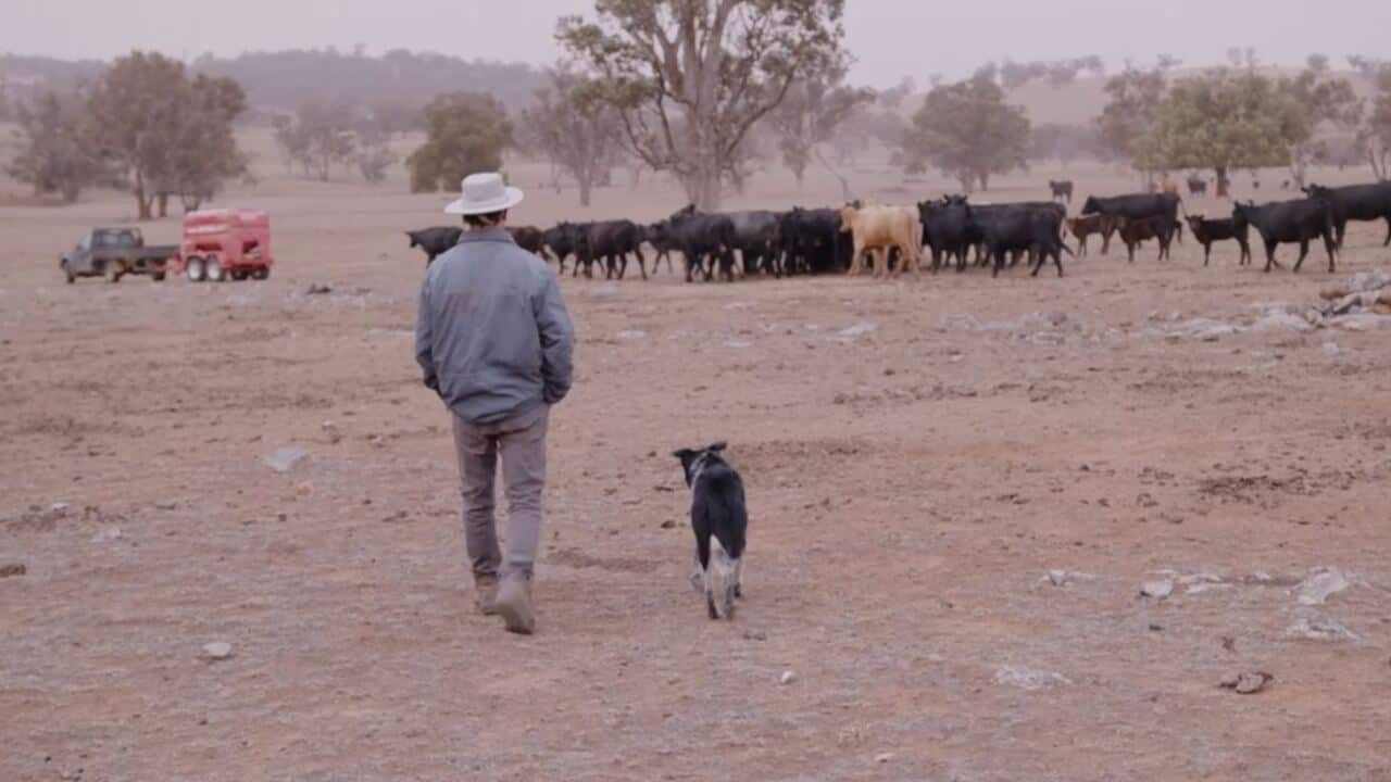 Image for read more article 'READ MORE'