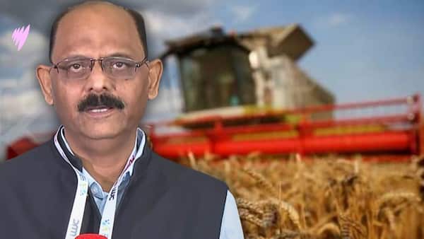 hindi_260924_wheat image