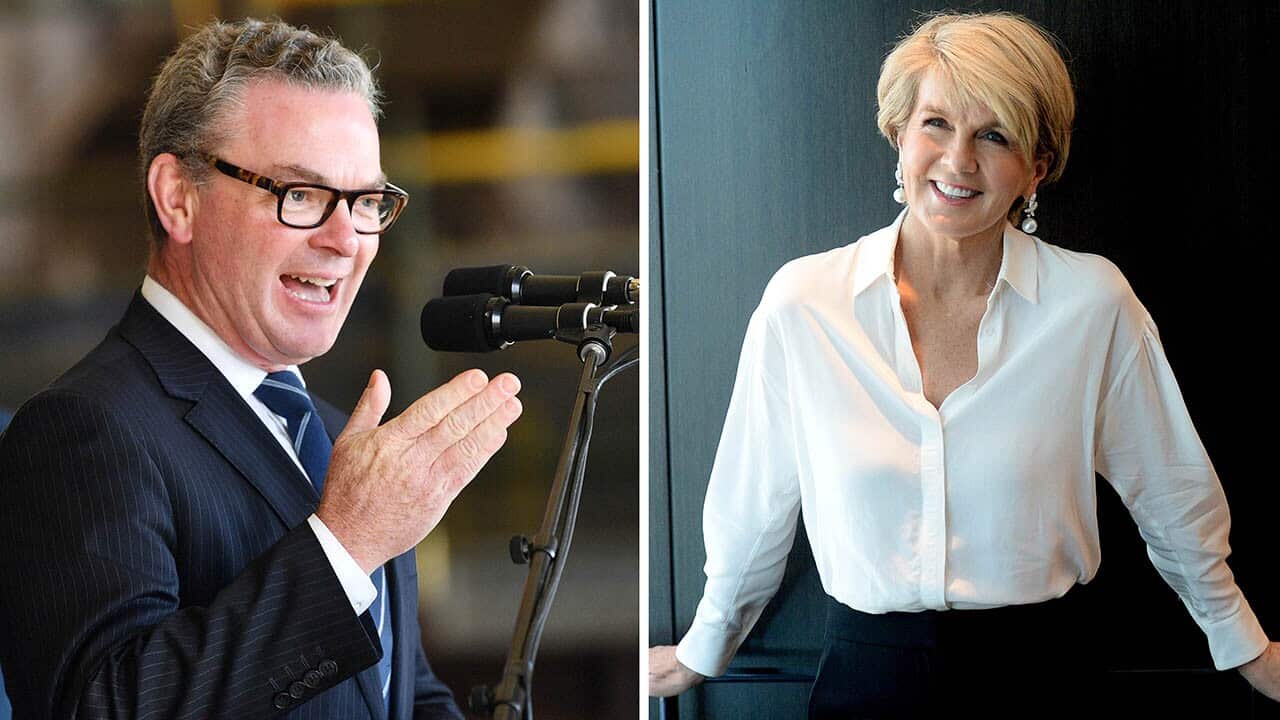 Christopher Pyne and Julie Bishop.