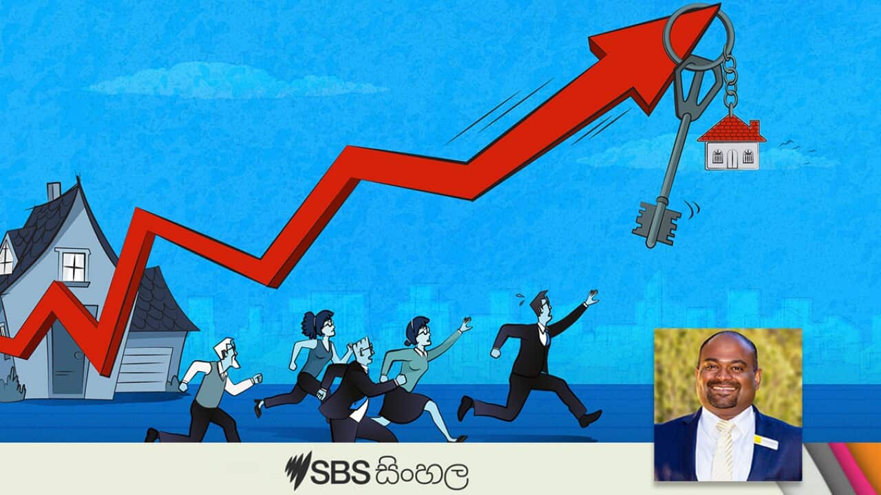 sinhala_06022024_Tuesday_Interview_NewMP3