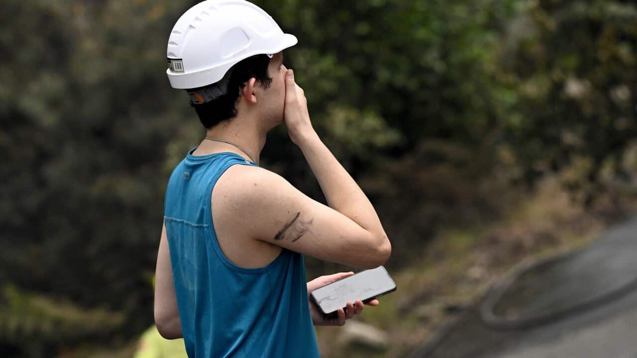 BUSHFIRE CENTRAL COAST