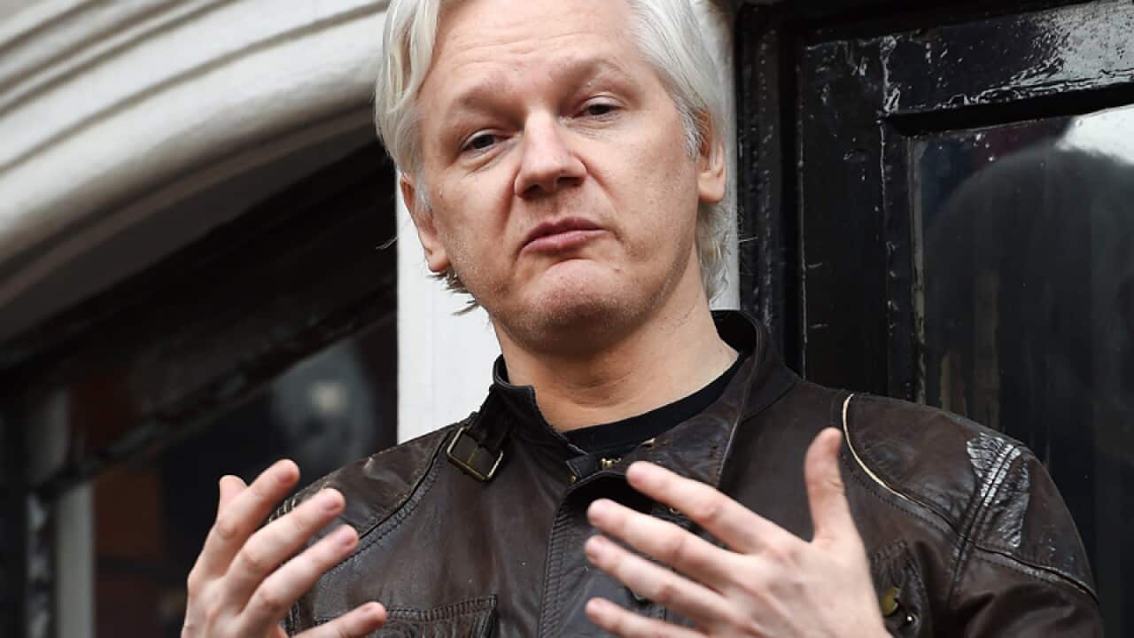 Australian computer programmer Julian Assange
