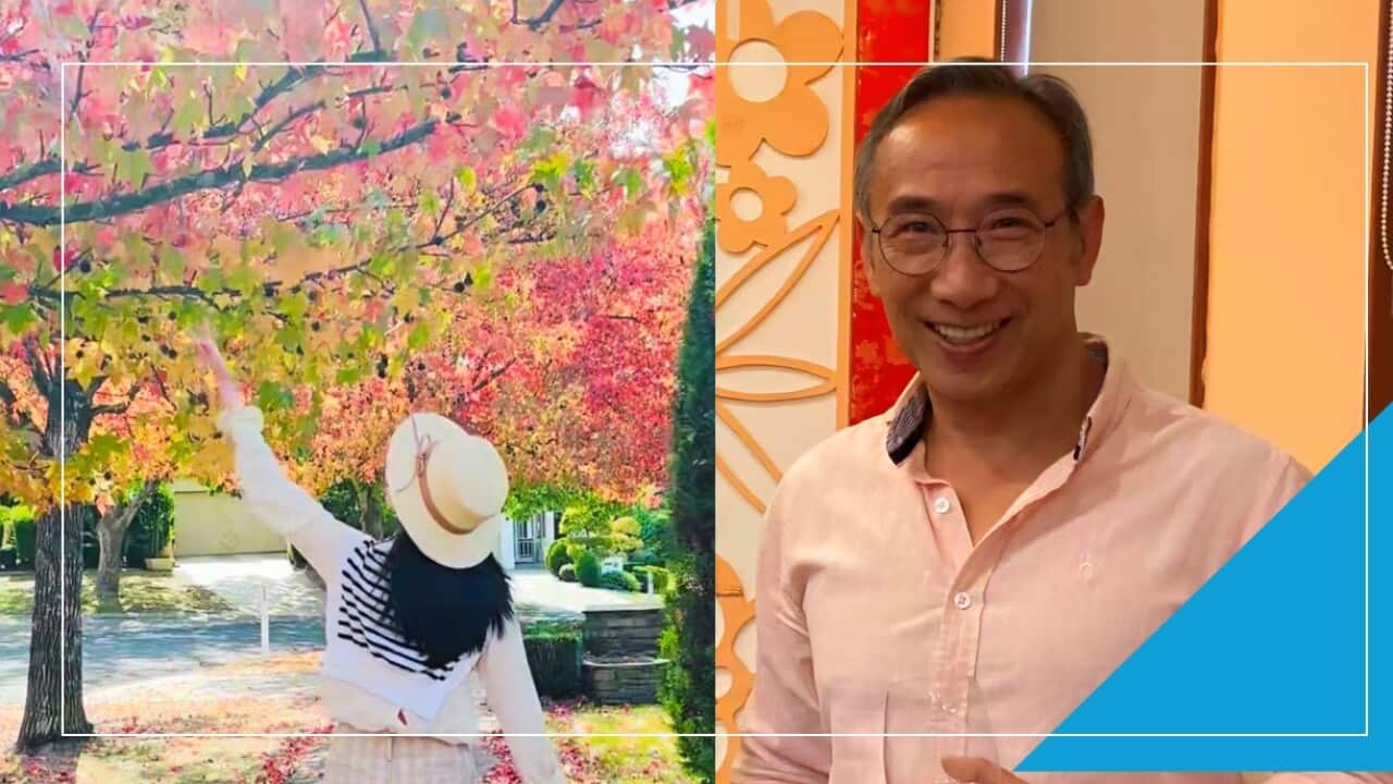 Screenshot 2026-02-11 132103.jpg