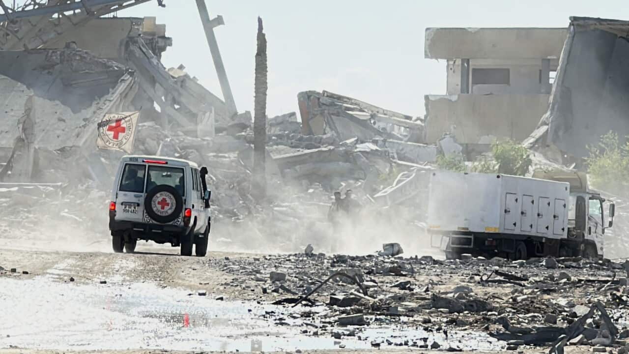 Israel hands over bodies of Palestinians to Red Cross for identification in Gaza