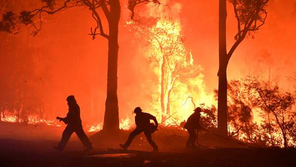Communities affected by the Black Summer bushfires get federal funding ...