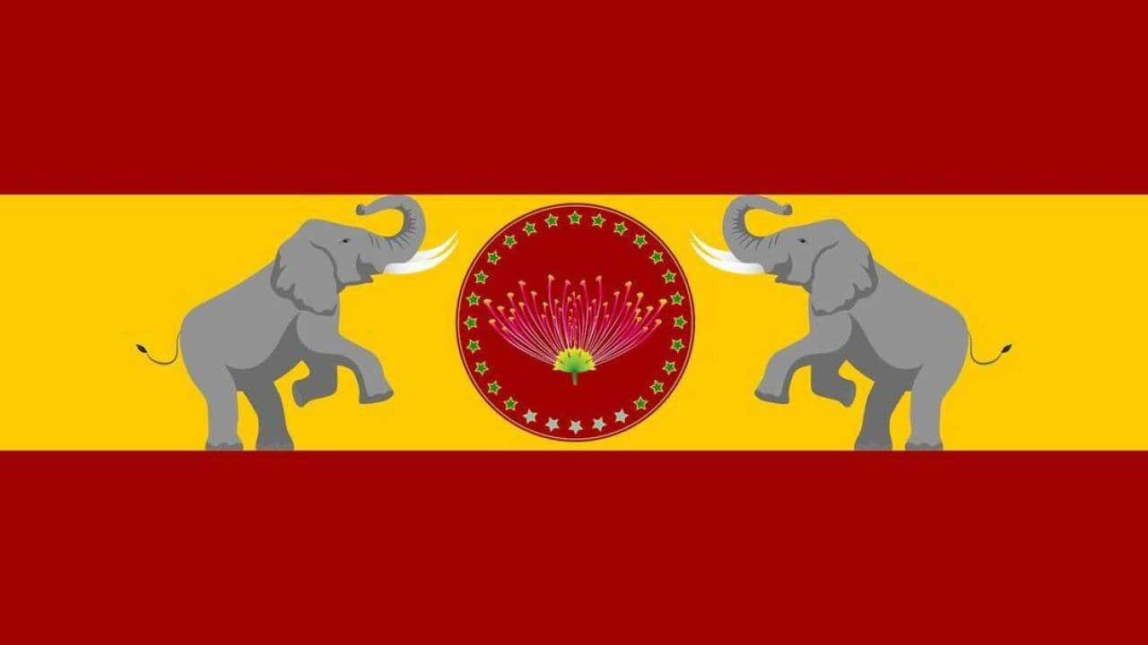 Vijay Party Flag.jpg
