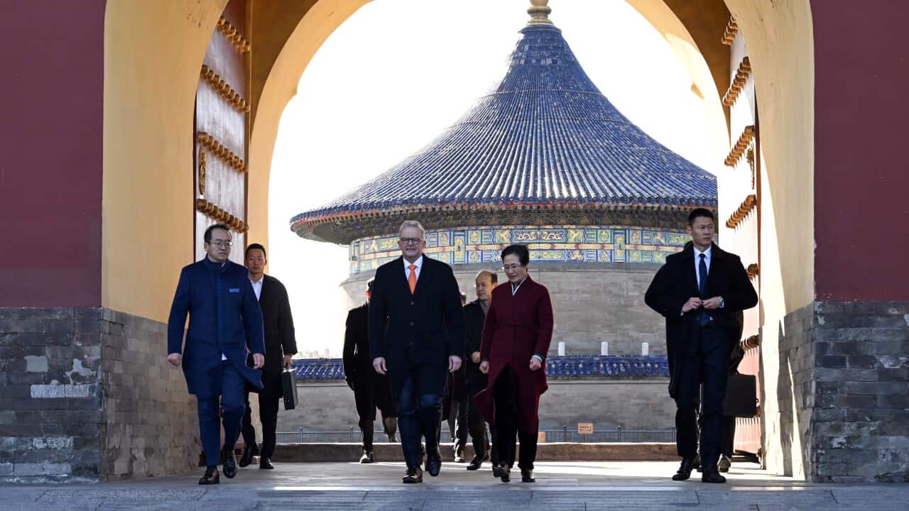 ANTHONY ALBANESE CHINA TOUR