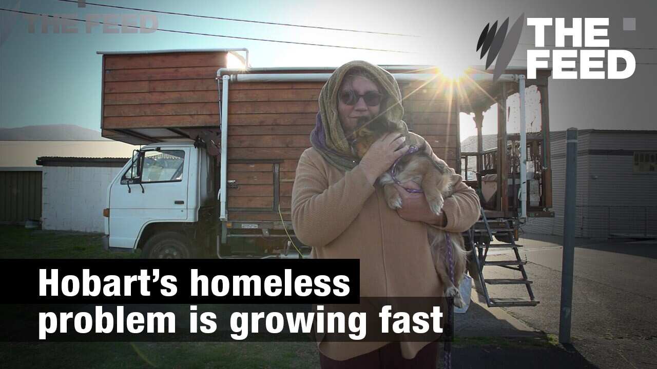 Hobart’s growing homeless population SBS The Feed