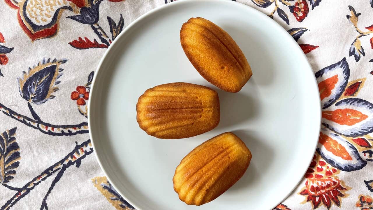 Image for read more article 'MADELEINE DE PROUST'
