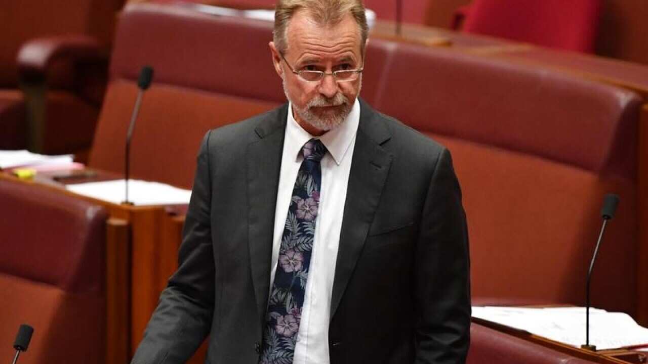 Indigenous Affairs Minister Nigel Scullion addressing the Senate.