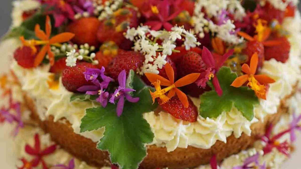 Edible Flowers and Herbs Delivered anywhere in the UK